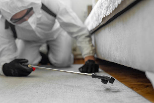 Professional Termite Control technician working in Pine Island, MN