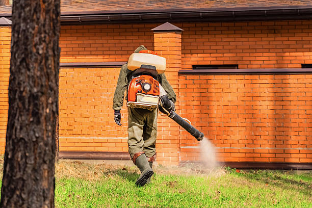 Trusted Cockroach Control service in Pine Island, MN - Nex Pest Control